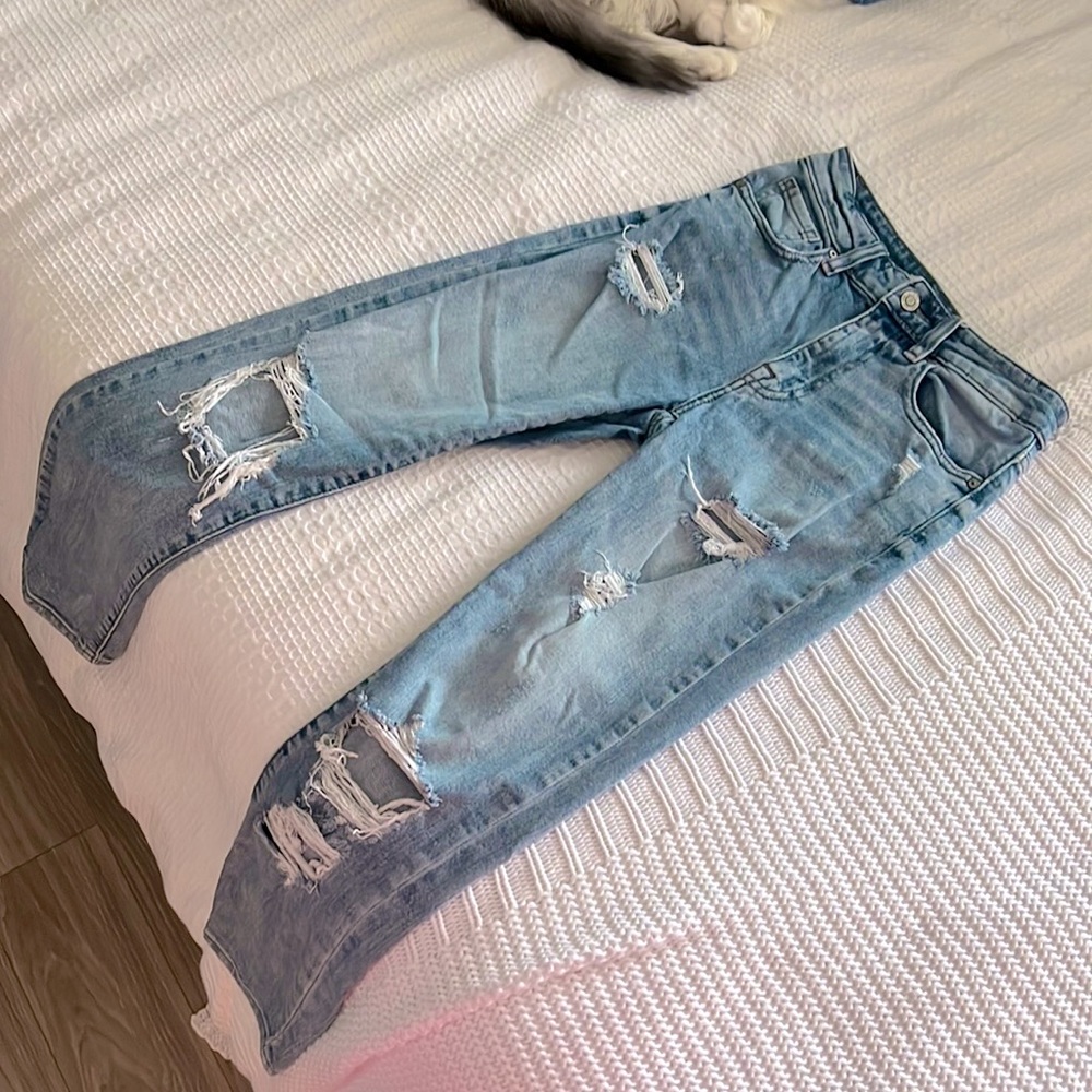 Eunina Cropped Distressed Jeans